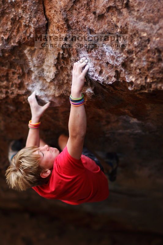 

Filename: SRM_20161124_1305171.jpg
Aperture: f/1.8
Shutter Speed: 1/800
Body: Canon EOS-1D Mark II
Lens: Canon EF 85mm f/1.2 L II