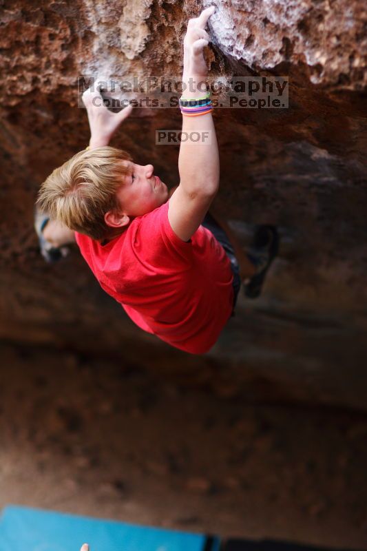 

Filename: SRM_20161124_1305190.jpg
Aperture: f/1.8
Shutter Speed: 1/640
Body: Canon EOS-1D Mark II
Lens: Canon EF 85mm f/1.2 L II