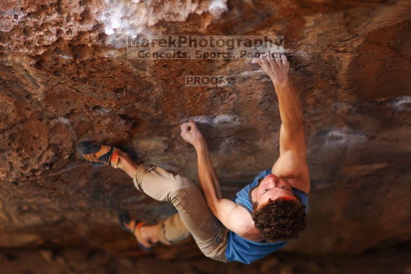 

Filename: SRM_20161124_1306580.jpg
Aperture: f/1.8
Shutter Speed: 1/500
Body: Canon EOS-1D Mark II
Lens: Canon EF 85mm f/1.2 L II