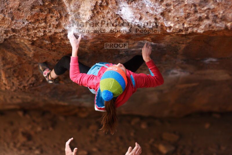 

Filename: SRM_20161124_1309220.jpg
Aperture: f/1.8
Shutter Speed: 1/640
Body: Canon EOS-1D Mark II
Lens: Canon EF 85mm f/1.2 L II