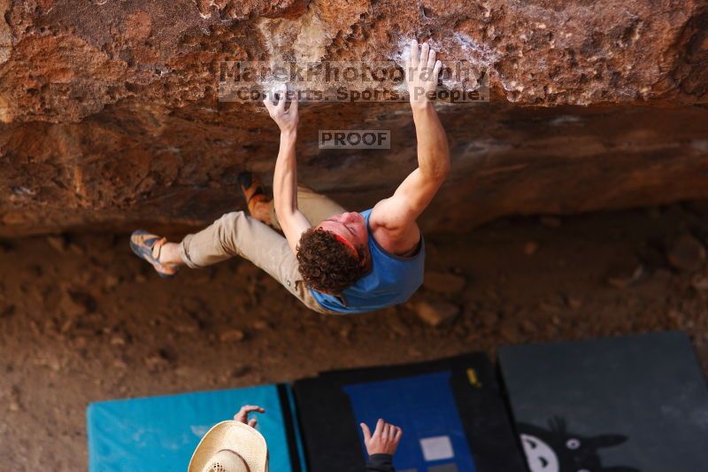 

Filename: SRM_20161124_1312011.jpg
Aperture: f/1.8
Shutter Speed: 1/1250
Body: Canon EOS-1D Mark II
Lens: Canon EF 85mm f/1.2 L II