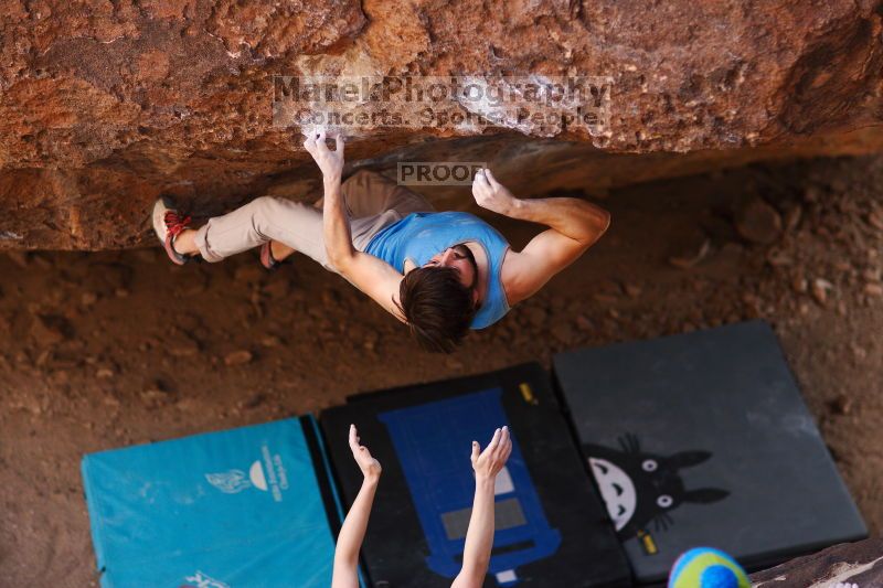 

Filename: SRM_20161124_1314310.jpg
Aperture: f/1.8
Shutter Speed: 1/1250
Body: Canon EOS-1D Mark II
Lens: Canon EF 85mm f/1.2 L II