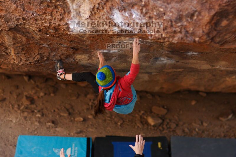 

Filename: SRM_20161124_1326371.jpg
Aperture: f/1.8
Shutter Speed: 1/1250
Body: Canon EOS-1D Mark II
Lens: Canon EF 85mm f/1.2 L II