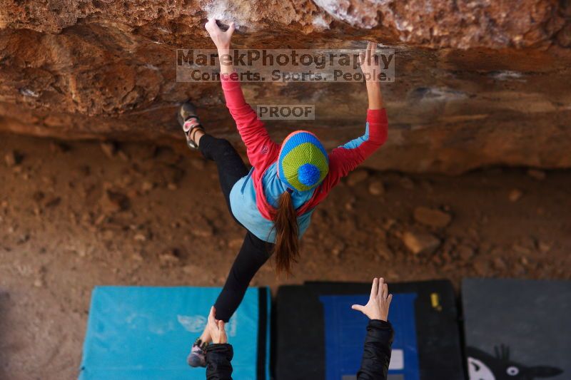 

Filename: SRM_20161124_1326402.jpg
Aperture: f/1.8
Shutter Speed: 1/1250
Body: Canon EOS-1D Mark II
Lens: Canon EF 85mm f/1.2 L II