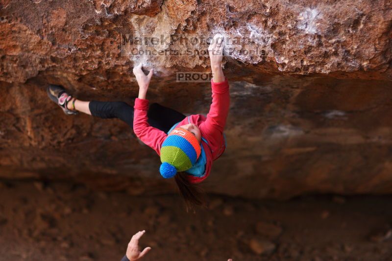 

Filename: SRM_20161124_1341562.jpg
Aperture: f/1.8
Shutter Speed: 1/800
Body: Canon EOS-1D Mark II
Lens: Canon EF 85mm f/1.2 L II