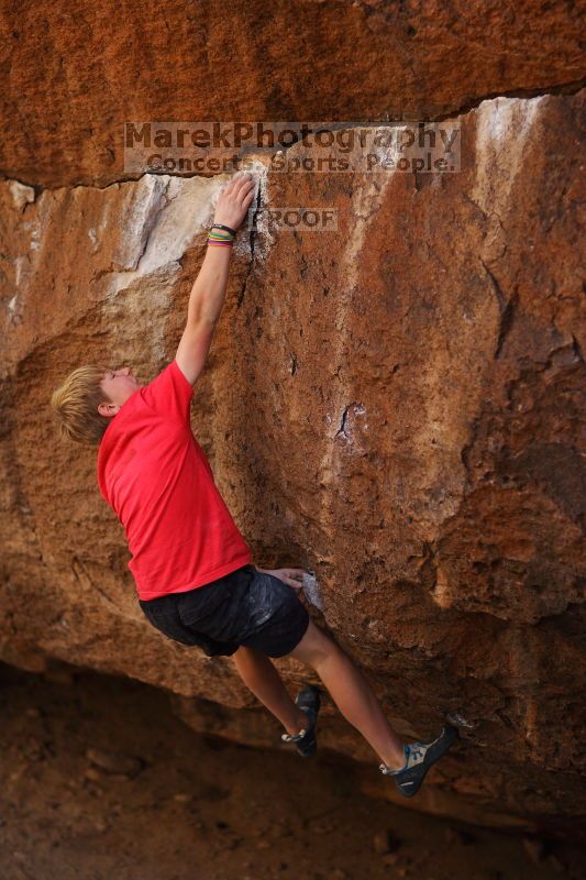 

Filename: SRM_20161124_1346531.jpg
Aperture: f/1.8
Shutter Speed: 1/2500
Body: Canon EOS-1D Mark II
Lens: Canon EF 85mm f/1.2 L II