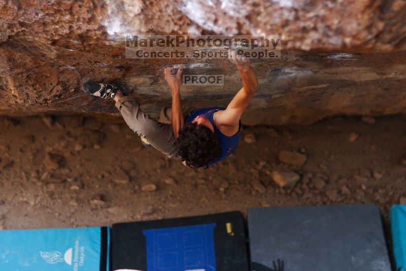 

Filename: SRM_20161124_1349271.jpg
Aperture: f/1.8
Shutter Speed: 1/320
Body: Canon EOS-1D Mark II
Lens: Canon EF 85mm f/1.2 L II