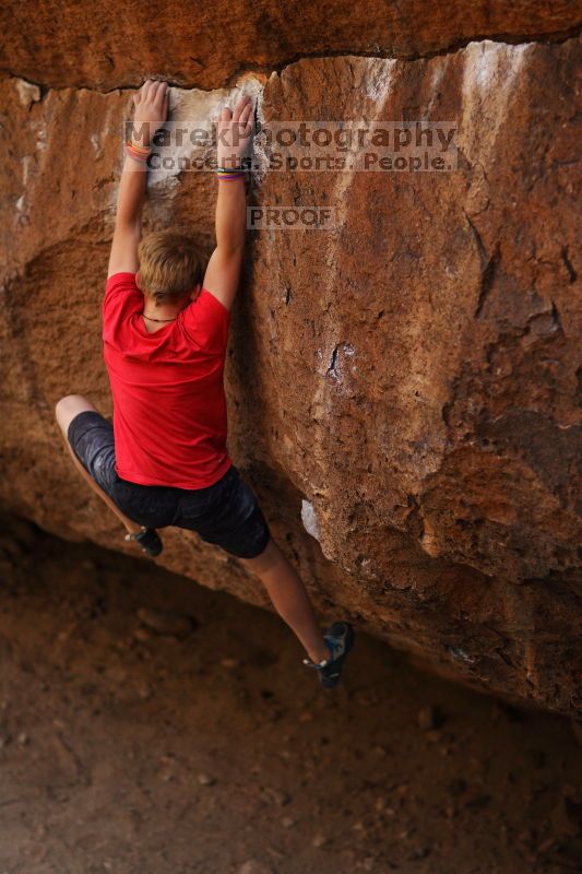 

Filename: SRM_20161124_1350421.jpg
Aperture: f/1.8
Shutter Speed: 1/1250
Body: Canon EOS-1D Mark II
Lens: Canon EF 85mm f/1.2 L II