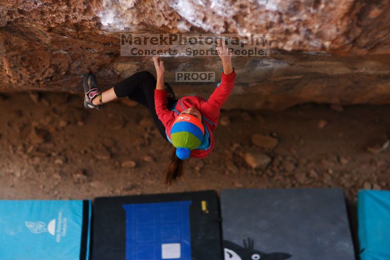 

Filename: SRM_20161124_1354053.jpg
Aperture: f/1.8
Shutter Speed: 1/400
Body: Canon EOS-1D Mark II
Lens: Canon EF 85mm f/1.2 L II