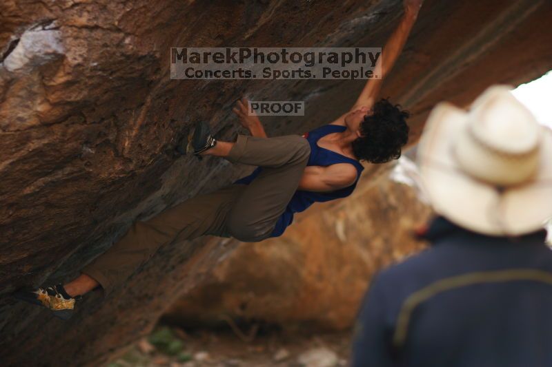 

Filename: SRM_20161124_1356271.jpg
Aperture: f/1.8
Shutter Speed: 1/1250
Body: Canon EOS-1D Mark II
Lens: Canon EF 85mm f/1.2 L II