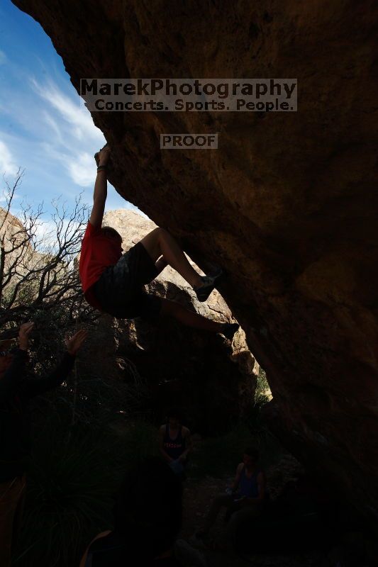 

Filename: SRM_20161124_1449580.jpg
Aperture: f/8.0
Shutter Speed: 1/200
Body: Canon EOS-1D Mark II
Lens: Canon EF 16-35mm f/2.8 L