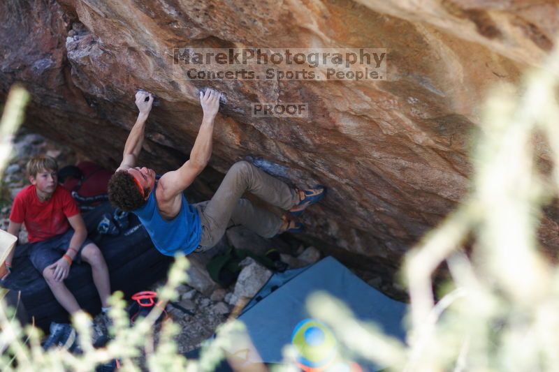 

Filename: SRM_20161124_1458052.jpg
Aperture: f/1.8
Shutter Speed: 1/400
Body: Canon EOS-1D Mark II
Lens: Canon EF 85mm f/1.2 L II