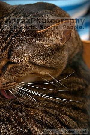 

Filename: crw_6204_std.jpg
Aperture: f/5.6
Shutter Speed: 1/200
Body: Canon EOS DIGITAL REBEL
Lens: Canon EF-S 18-55mm f/3.5-5.6