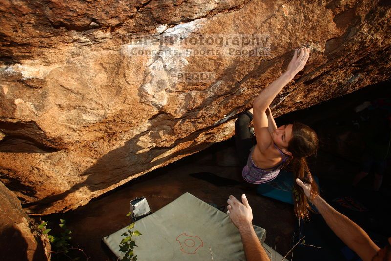 

Filename: SRM_20161124_1827200.jpg
Aperture: f/9.0
Shutter Speed: 1/250
Body: Canon EOS-1D Mark II
Lens: Canon EF 16-35mm f/2.8 L