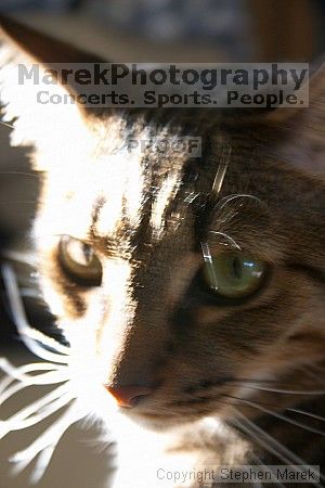 

Filename: crw_6143_std.jpg
Aperture: f/5.6
Shutter Speed: 1/8
Body: Canon EOS DIGITAL REBEL
Lens: Canon EF-S 18-55mm f/3.5-5.6