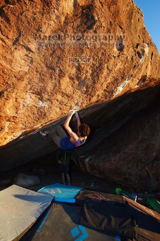 

Filename: SRM_20161124_1903120.jpg
Aperture: f/6.3
Shutter Speed: 1/250
Body: Canon EOS-1D Mark II
Lens: Canon EF 16-35mm f/2.8 L