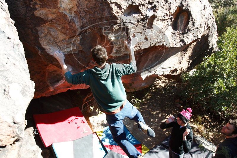 

Filename: SRM_20161210_1229011.jpg
Aperture: f/5.6
Shutter Speed: 1/200
Body: Canon EOS-1D Mark II
Lens: Canon EF 16-35mm f/2.8 L