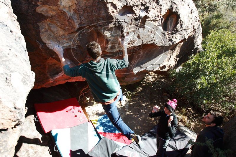 

Filename: SRM_20161210_1229013.jpg
Aperture: f/5.6
Shutter Speed: 1/200
Body: Canon EOS-1D Mark II
Lens: Canon EF 16-35mm f/2.8 L