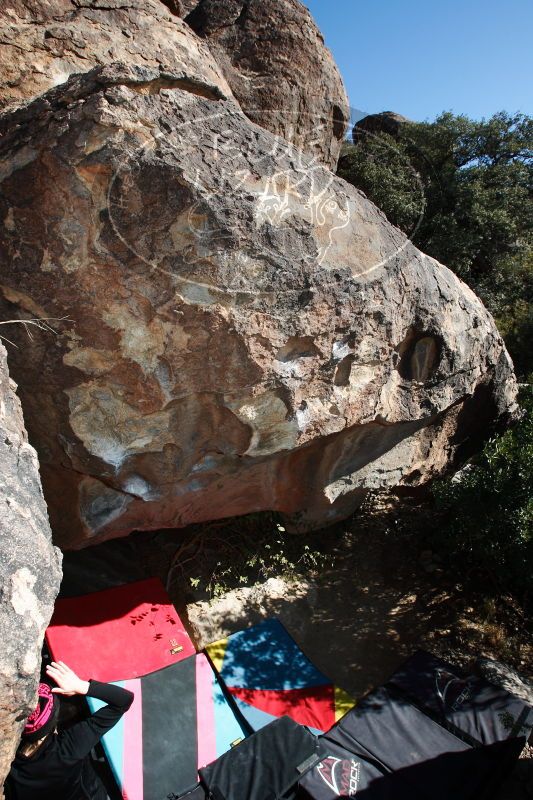 

Filename: SRM_20161210_1231370.jpg
Aperture: f/8.0
Shutter Speed: 1/250
Body: Canon EOS-1D Mark II
Lens: Canon EF 16-35mm f/2.8 L