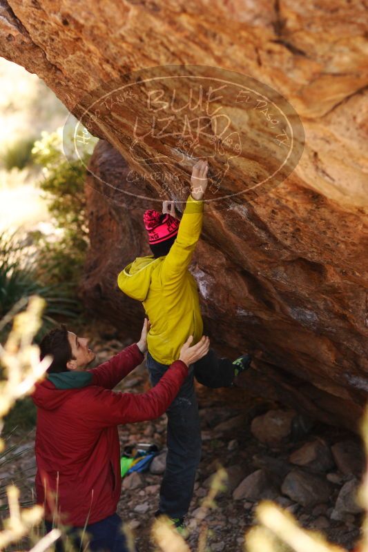 

Filename: SRM_20161210_1322157.jpg
Aperture: f/2.0
Shutter Speed: 1/640
Body: Canon EOS-1D Mark II
Lens: Canon EF 85mm f/1.2 L II