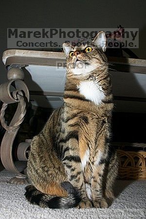 

Filename: crw_6117_std.jpg
Aperture: f/7.1
Shutter Speed: 1/100
Body: Canon EOS DIGITAL REBEL
Lens: Canon EF-S 18-55mm f/3.5-5.6