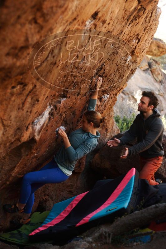 

Filename: SRM_20161210_1352251.jpg
Aperture: f/2.2
Shutter Speed: 1/400
Body: Canon EOS-1D Mark II
Lens: Canon EF 50mm f/1.8 II