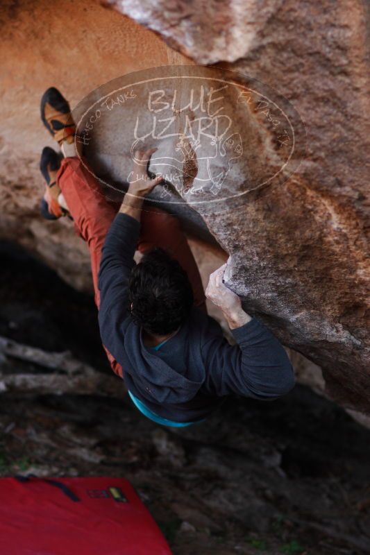 

Filename: SRM_20161210_1437470.jpg
Aperture: f/2.0
Shutter Speed: 1/640
Body: Canon EOS-1D Mark II
Lens: Canon EF 85mm f/1.2 L II