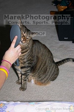 

Filename: crw_6093_std.jpg
Aperture: f/7.1
Shutter Speed: 1/200
Body: Canon EOS DIGITAL REBEL
Lens: Canon EF-S 18-55mm f/3.5-5.6