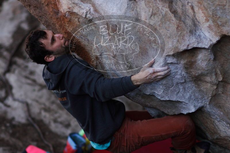 

Filename: SRM_20161210_1438063.jpg
Aperture: f/2.0
Shutter Speed: 1/1000
Body: Canon EOS-1D Mark II
Lens: Canon EF 85mm f/1.2 L II