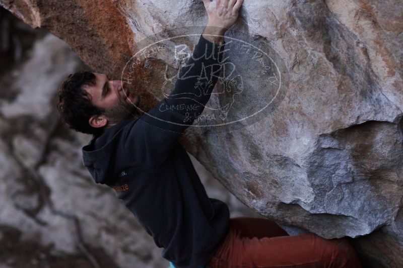 

Filename: SRM_20161210_1438072.jpg
Aperture: f/2.0
Shutter Speed: 1/1250
Body: Canon EOS-1D Mark II
Lens: Canon EF 85mm f/1.2 L II