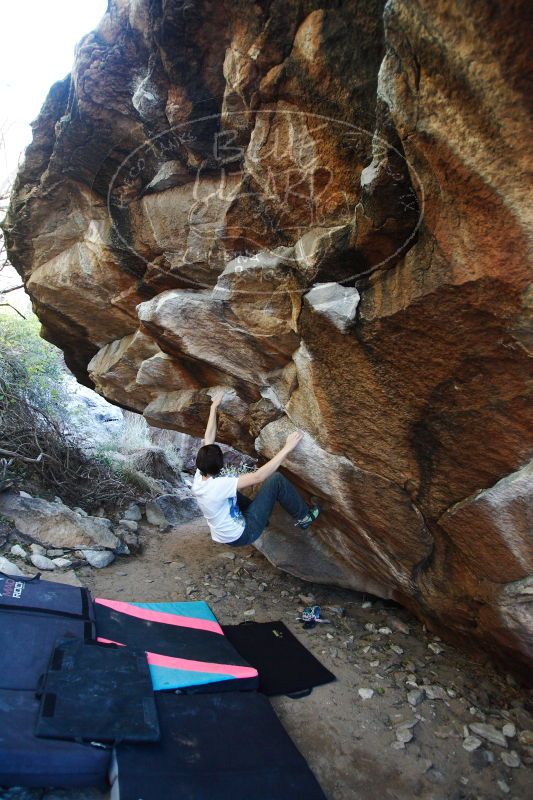 

Filename: SRM_20161210_1707481.jpg
Aperture: f/2.8
Shutter Speed: 1/320
Body: Canon EOS-1D Mark II
Lens: Canon EF 16-35mm f/2.8 L