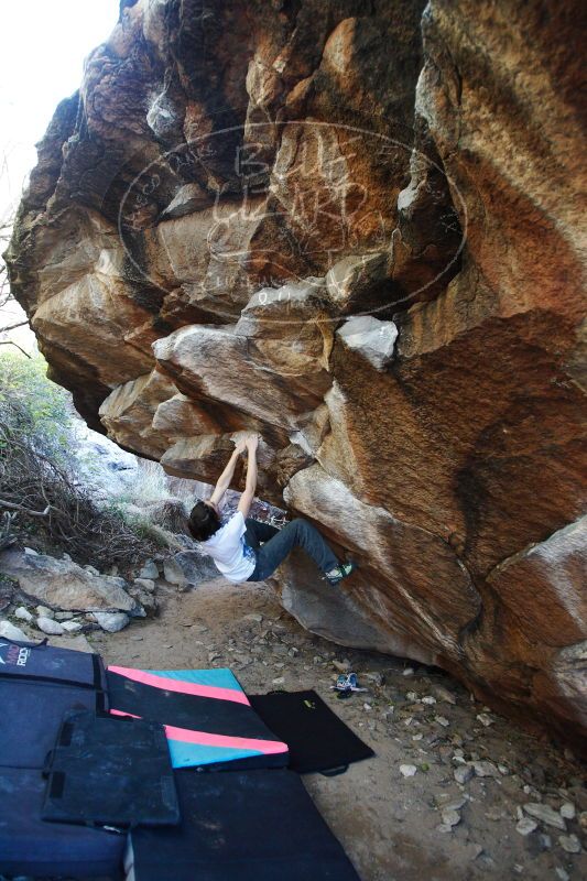 

Filename: SRM_20161210_1707490.jpg
Aperture: f/2.8
Shutter Speed: 1/320
Body: Canon EOS-1D Mark II
Lens: Canon EF 16-35mm f/2.8 L