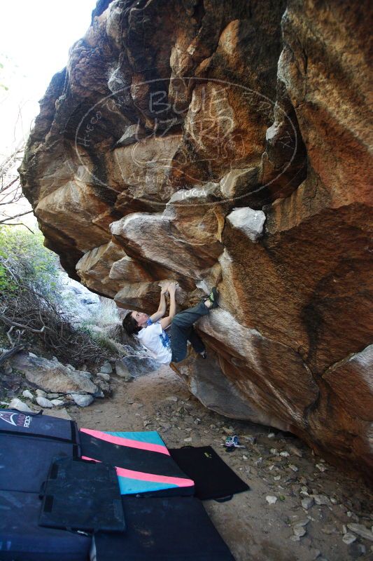 

Filename: SRM_20161210_1707514.jpg
Aperture: f/2.8
Shutter Speed: 1/320
Body: Canon EOS-1D Mark II
Lens: Canon EF 16-35mm f/2.8 L