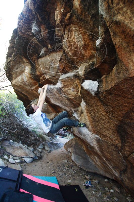 

Filename: SRM_20161210_1707560.jpg
Aperture: f/2.8
Shutter Speed: 1/320
Body: Canon EOS-1D Mark II
Lens: Canon EF 16-35mm f/2.8 L