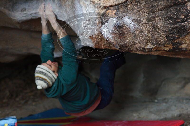 

Filename: SRM_20161210_1736360.jpg
Aperture: f/2.0
Shutter Speed: 1/250
Body: Canon EOS-1D Mark II
Lens: Canon EF 85mm f/1.2 L II