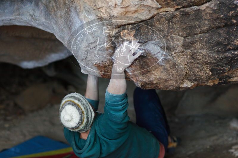 

Filename: SRM_20161210_1740190.jpg
Aperture: f/2.0
Shutter Speed: 1/250
Body: Canon EOS-1D Mark II
Lens: Canon EF 85mm f/1.2 L II