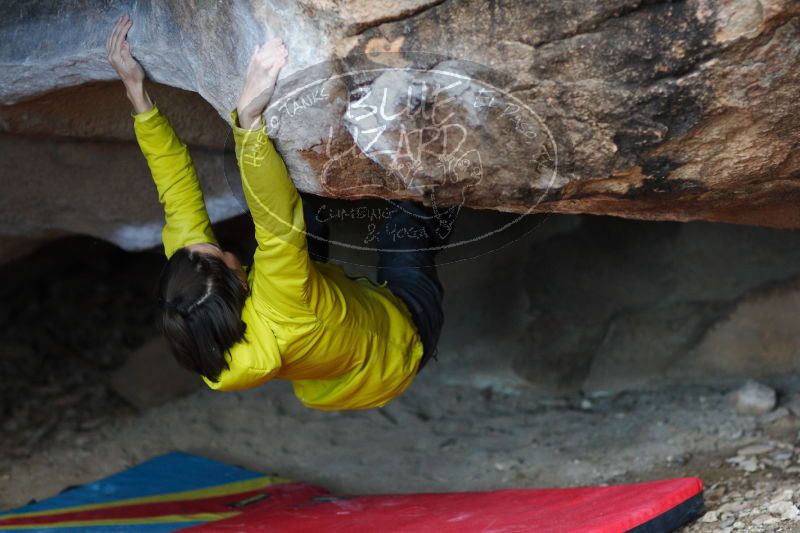 

Filename: SRM_20161210_1750450.jpg
Aperture: f/2.0
Shutter Speed: 1/250
Body: Canon EOS-1D Mark II
Lens: Canon EF 85mm f/1.2 L II