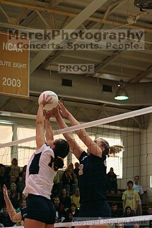 0320115772

Filename: img_5838_std.jpg
Aperture: f/2.8
Shutter Speed: 1/500
Body: Canon EOS 20D
Lens: Canon EF 80-200mm f/2.8 L