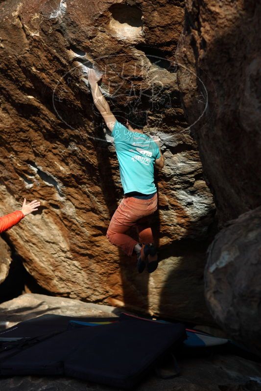 

Filename: SRM_20161210_1800415.jpg
Aperture: f/2.0
Shutter Speed: 1/1600
Body: Canon EOS-1D Mark II
Lens: Canon EF 85mm f/1.2 L II