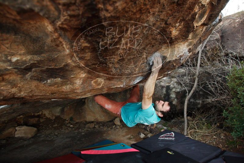 

Filename: SRM_20161210_1826091.jpg
Aperture: f/2.8
Shutter Speed: 1/320
Body: Canon EOS-1D Mark II
Lens: Canon EF 16-35mm f/2.8 L