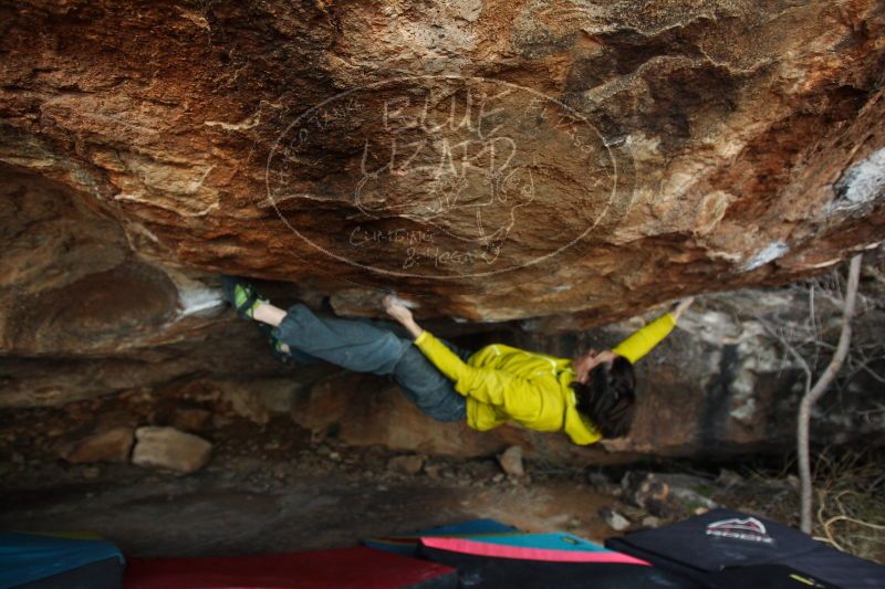 

Filename: SRM_20161210_1827131.jpg
Aperture: f/2.8
Shutter Speed: 1/250
Body: Canon EOS-1D Mark II
Lens: Canon EF 16-35mm f/2.8 L