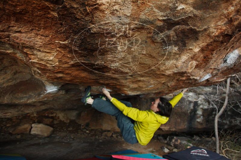 

Filename: SRM_20161210_1827152.jpg
Aperture: f/2.8
Shutter Speed: 1/250
Body: Canon EOS-1D Mark II
Lens: Canon EF 16-35mm f/2.8 L