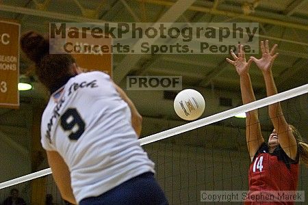 Filename: crw_4588_std.jpg
Aperture: f/2.8
Shutter Speed: 1/500
Body: Canon EOS DIGITAL REBEL
Lens: Canon EF 80-200mm f/2.8 L