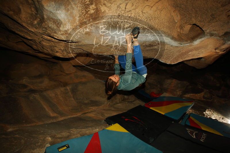 

Filename: SRM_20161210_1923510.jpg
Aperture: f/8.0
Shutter Speed: 1/250
Body: Canon EOS-1D Mark II
Lens: Canon EF 16-35mm f/2.8 L