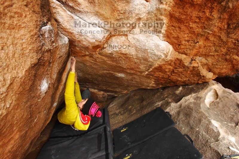 

Filename: SRM_20161209_1320170.jpg
Aperture: f/4.0
Shutter Speed: 1/200
Body: Canon EOS-1D Mark II
Lens: Canon EF 16-35mm f/2.8 L