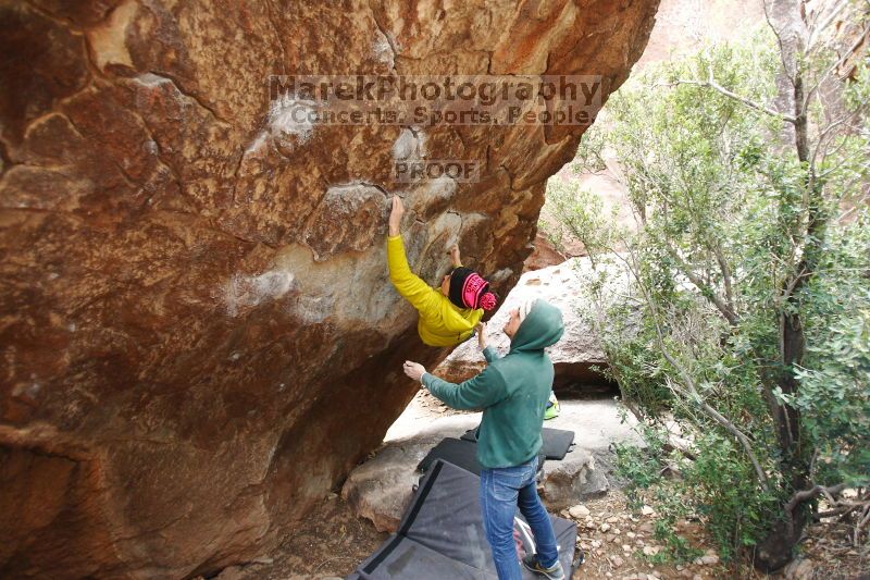 

Filename: SRM_20161209_1424011.jpg
Aperture: f/2.8
Shutter Speed: 1/250
Body: Canon EOS-1D Mark II
Lens: Canon EF 16-35mm f/2.8 L