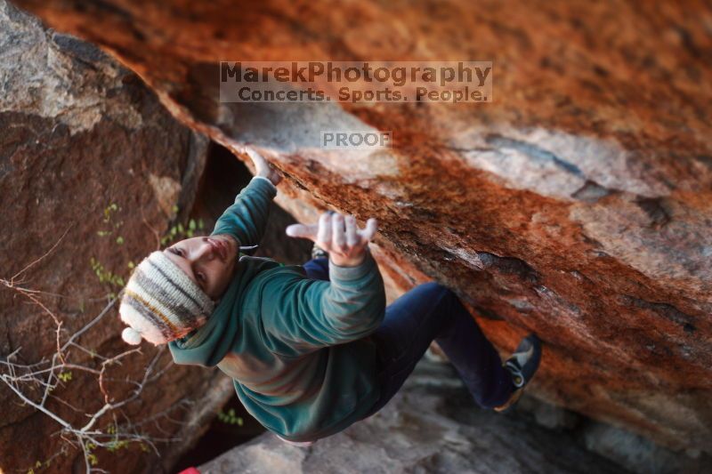 

Filename: SRM_20161209_1542420.jpg
Aperture: f/2.0
Shutter Speed: 1/1000
Body: Canon EOS-1D Mark II
Lens: Canon EF 50mm f/1.8 II