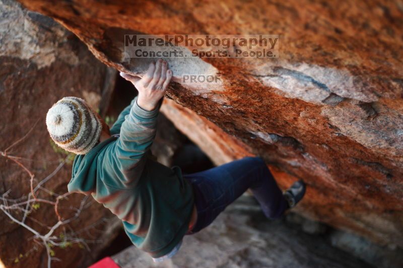 

Filename: SRM_20161209_1542450.jpg
Aperture: f/2.0
Shutter Speed: 1/1000
Body: Canon EOS-1D Mark II
Lens: Canon EF 50mm f/1.8 II