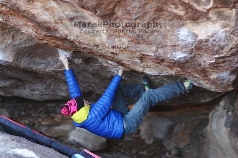 

Filename: SRM_20161209_1732400.jpg
Aperture: f/1.8
Shutter Speed: 1/640
Body: Canon EOS-1D Mark II
Lens: Canon EF 85mm f/1.2 L II