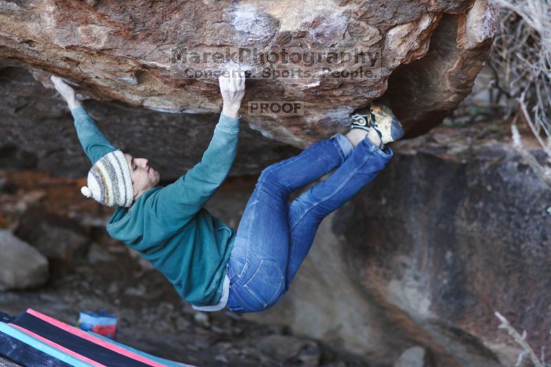 

Filename: SRM_20161209_1743400.jpg
Aperture: f/1.8
Shutter Speed: 1/400
Body: Canon EOS-1D Mark II
Lens: Canon EF 85mm f/1.2 L II